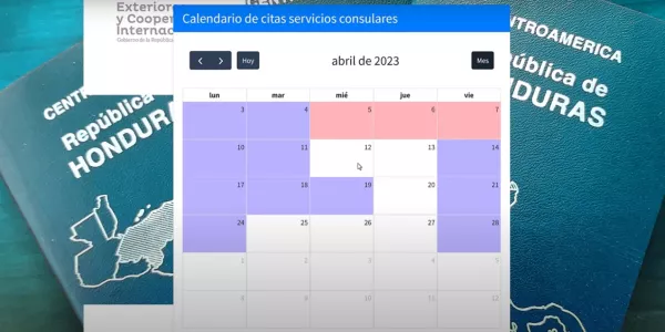 Cómo reservar una cita en el consulado de Honduras para Estados Unidos 3 paso 3 cita consualar hondurena